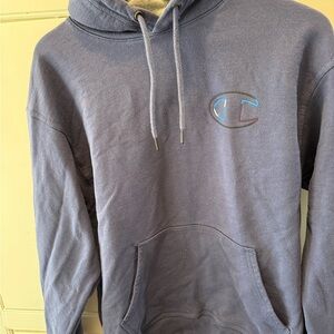 Champion Men's periwinkle Hoodie